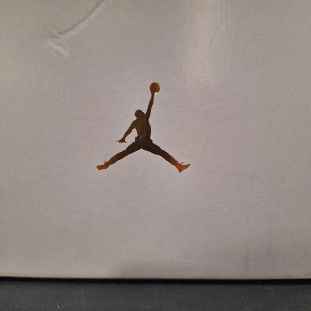Nike air jordan